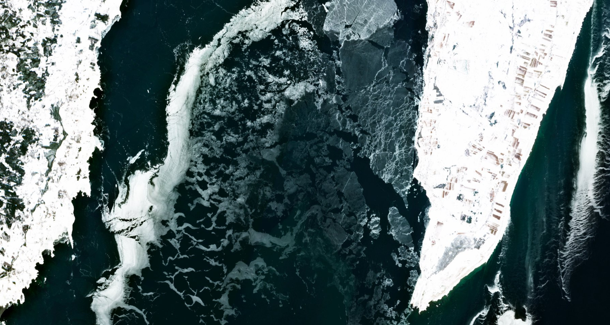 Open data, open code, open question